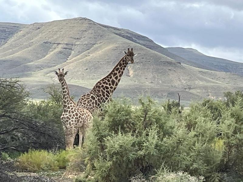 9 Bedroom Property for Sale in Sutherland Northern Cape